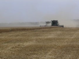 Harvest Support Russia (1)